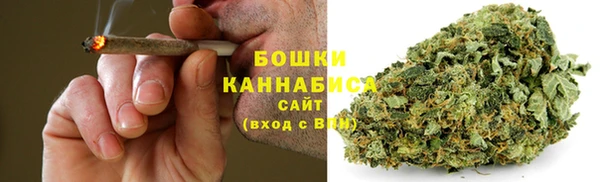 ГАЛЛЮЦИНОГЕННЫЕ ГРИБЫ Беломорск