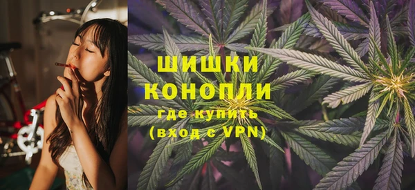 молекула духа Белокуриха