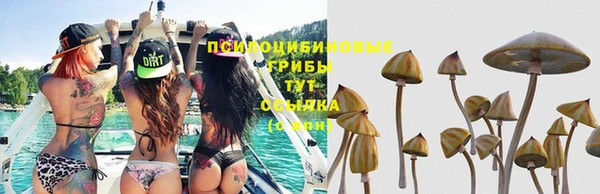 прущий лед Белоозёрский
